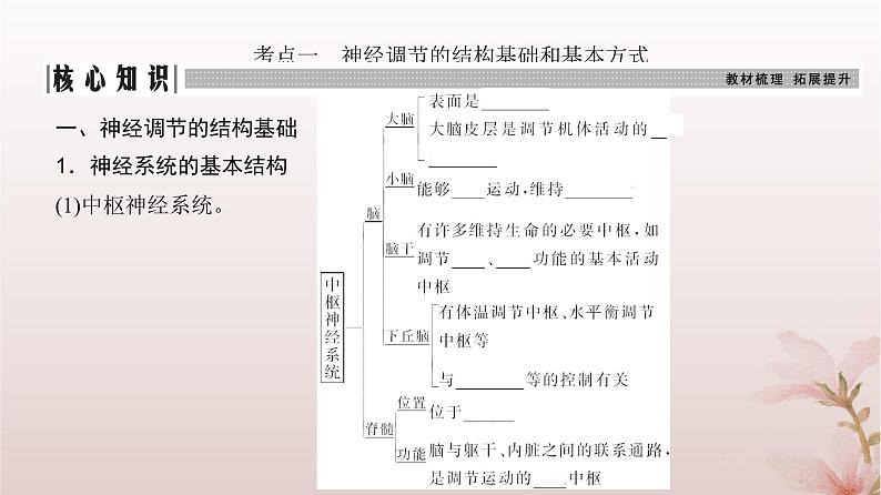 2024届高考生物一轮总复习第八单元稳态与调节第23讲神经调节课件第3页