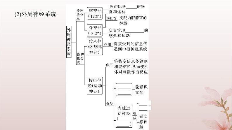 2024届高考生物一轮总复习第八单元稳态与调节第23讲神经调节课件第4页