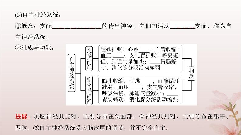 2024届高考生物一轮总复习第八单元稳态与调节第23讲神经调节课件第5页