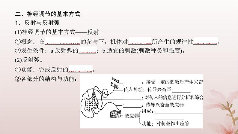 2024届高考生物一轮总复习第八单元稳态与调节第23讲神经调节课件第8页