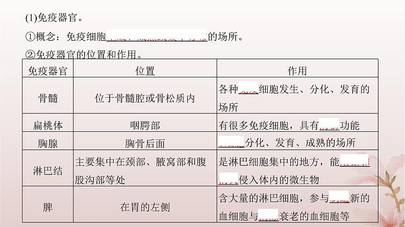 2024届高考生物一轮总复习第八单元稳态与调节第25讲免疫调节课件第4页