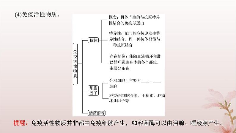 2024届高考生物一轮总复习第八单元稳态与调节第25讲免疫调节课件第7页