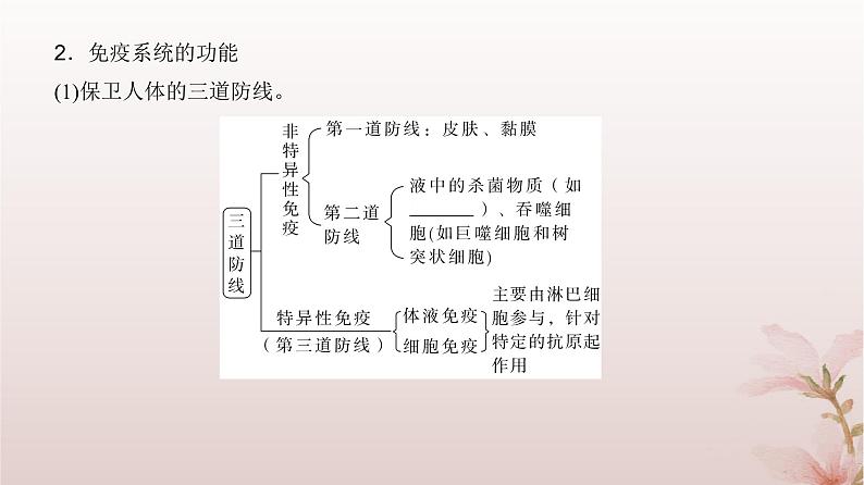 2024届高考生物一轮总复习第八单元稳态与调节第25讲免疫调节课件第8页