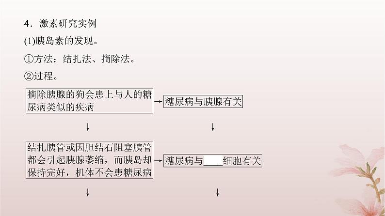 2024届高考生物一轮总复习第八单元稳态与调节第24讲体液调节课件06