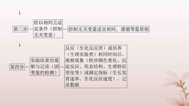 2024届高考生物一轮总复习第八单元稳态与调节实验专题4实验设计的步骤和实验结果与结论的表达课件第3页