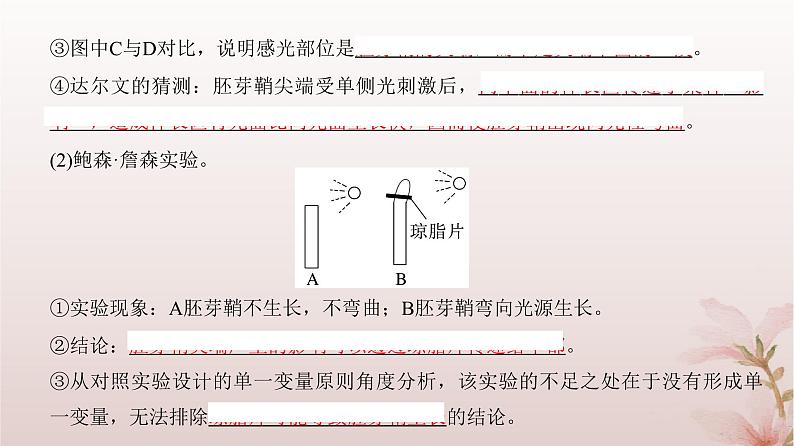 2024届高考生物一轮总复习第八单元稳态与调节第26讲植物生命活动的调节课件04