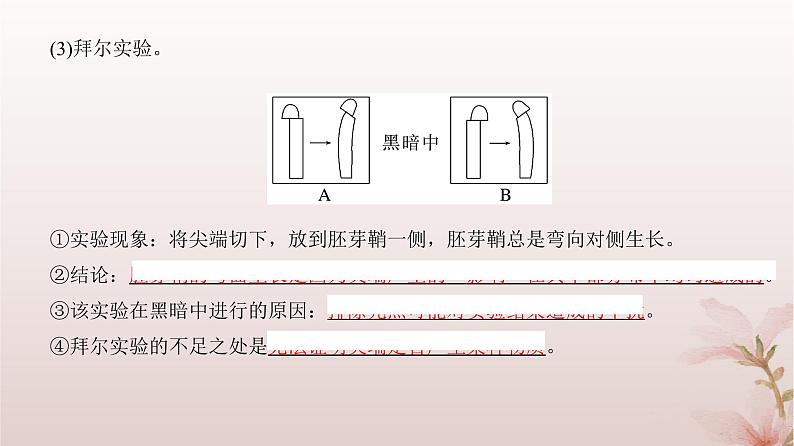 2024届高考生物一轮总复习第八单元稳态与调节第26讲植物生命活动的调节课件05