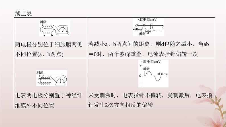 2024届高考生物一轮总复习第八单元稳态与调节微专题10神经调节中兴奋传导与传递的实验探究课件03