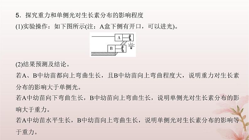 2024届高考生物一轮总复习第八单元稳态与调节微专题12植物激素相关实验的验证与探究课件第5页