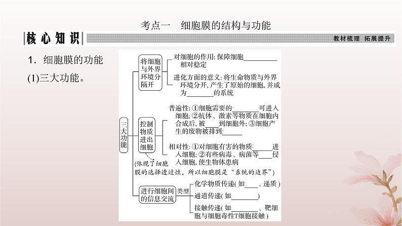 2024届高考生物一轮总复习第二单元细胞的基本结构与物质运输第4讲细胞膜与细胞核的结构和功能课件03