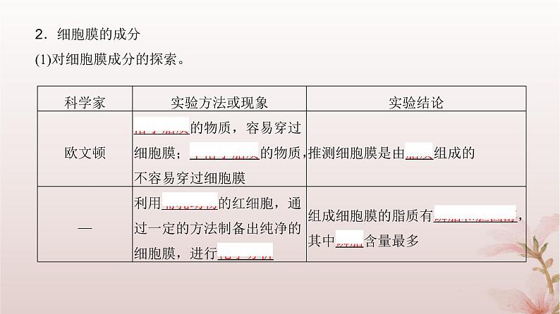 2024届高考生物一轮总复习第二单元细胞的基本结构与物质运输第4讲细胞膜与细胞核的结构和功能课件05