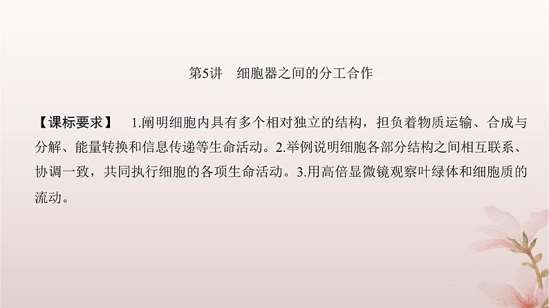 2024届高考生物一轮总复习第二单元细胞的基本结构与物质运输第5讲细胞器之间的分工合作课件02