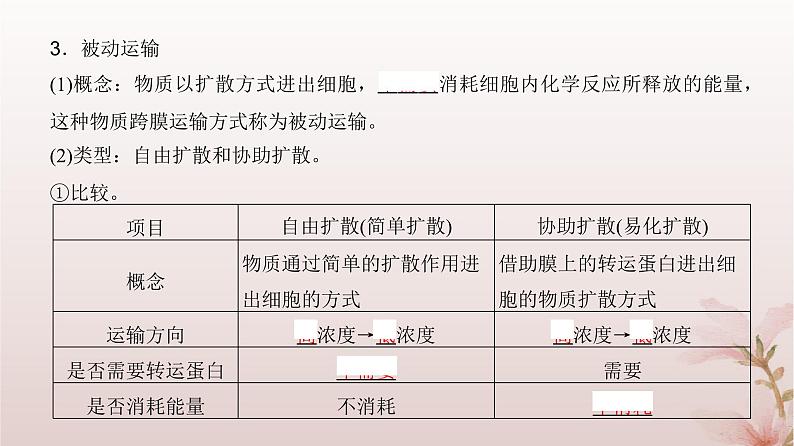 2024届高考生物一轮总复习第二单元细胞的基本结构与物质运输第6讲细胞的物质输入和输出课件08