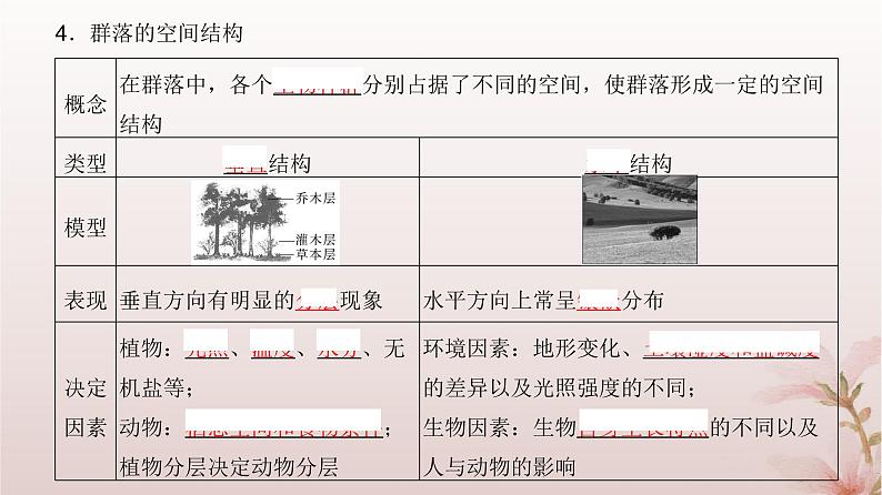 2024届高考生物一轮总复习第九单元生物与环境第28讲群落及其演替课件07