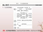 2024届高考生物一轮总复习第九单元生物与环境第29讲生态系统的结构和能量流动课件