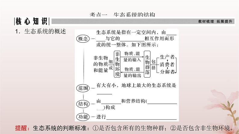 2024届高考生物一轮总复习第九单元生物与环境第29讲生态系统的结构和能量流动课件第3页