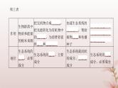 2024届高考生物一轮总复习第九单元生物与环境第29讲生态系统的结构和能量流动课件