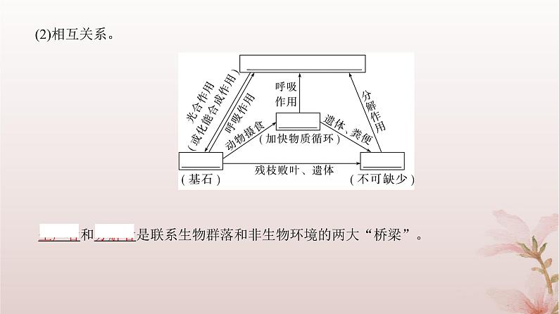 2024届高考生物一轮总复习第九单元生物与环境第29讲生态系统的结构和能量流动课件第6页