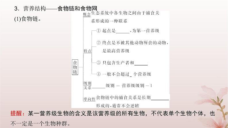 2024届高考生物一轮总复习第九单元生物与环境第29讲生态系统的结构和能量流动课件第7页