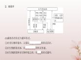 2024届高考生物一轮总复习第九单元生物与环境第30讲生态系统的物质循环信息传递及其稳定性课件