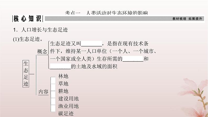 2024届高考生物一轮总复习第九单元生物与环境第31讲人与环境课件03