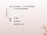 2024届高考生物一轮总复习第九单元生物与环境第31讲人与环境课件