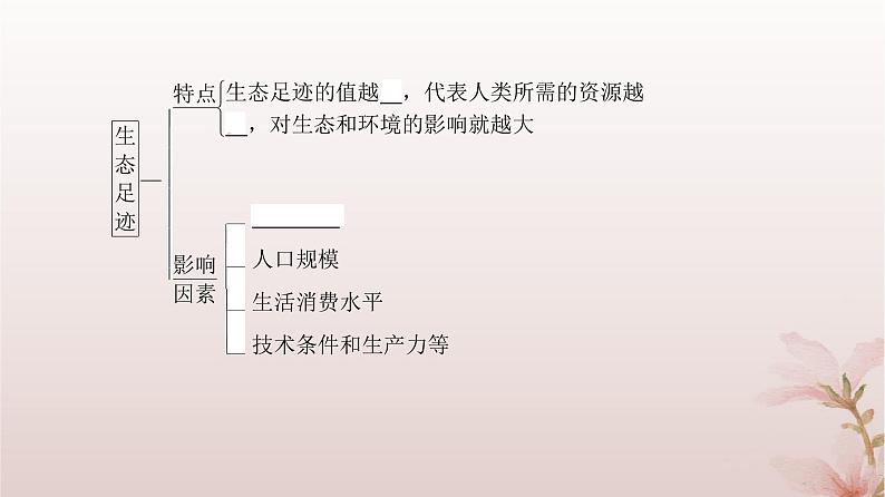 2024届高考生物一轮总复习第九单元生物与环境第31讲人与环境课件04