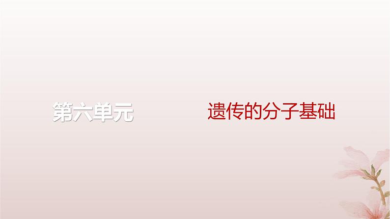 2024届高考生物一轮总复习第六单元遗传的分子基础第16讲DNA是主要的遗传物质课件01