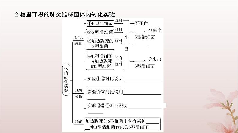 2024届高考生物一轮总复习第六单元遗传的分子基础第16讲DNA是主要的遗传物质课件04