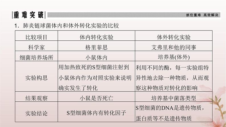 2024届高考生物一轮总复习第六单元遗传的分子基础第16讲DNA是主要的遗传物质课件08