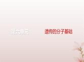 2024届高考生物一轮总复习第六单元遗传的分子基础第18讲基因的表达课件