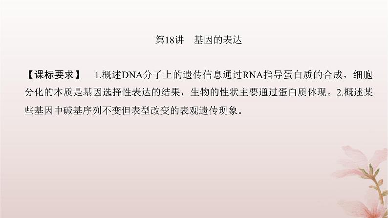 2024届高考生物一轮总复习第六单元遗传的分子基础第18讲基因的表达课件第2页