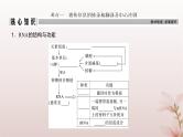 2024届高考生物一轮总复习第六单元遗传的分子基础第18讲基因的表达课件