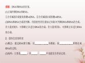 2024届高考生物一轮总复习第六单元遗传的分子基础第18讲基因的表达课件