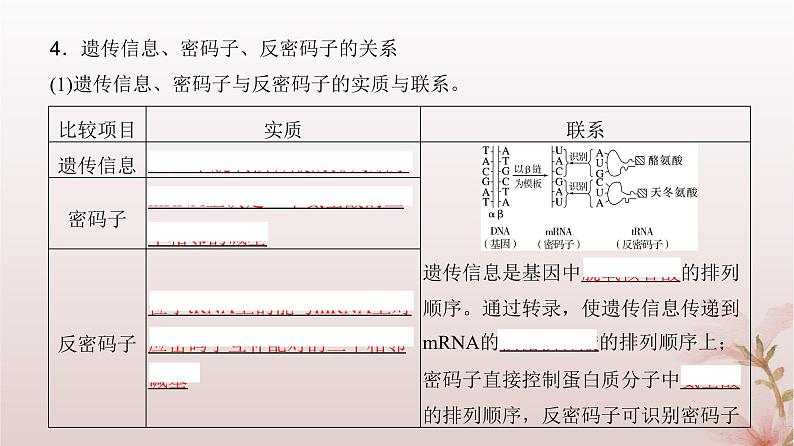 2024届高考生物一轮总复习第六单元遗传的分子基础第18讲基因的表达课件第7页