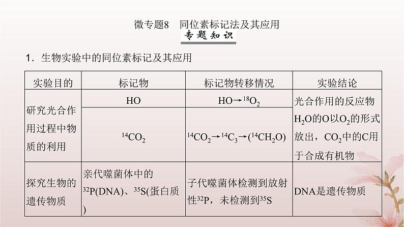 2024届高考生物一轮总复习第六单元遗传的分子基础微专题8同位素标记法及其应用课件第2页