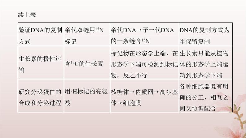 2024届高考生物一轮总复习第六单元遗传的分子基础微专题8同位素标记法及其应用课件第3页