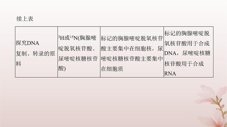 2024届高考生物一轮总复习第六单元遗传的分子基础微专题8同位素标记法及其应用课件第4页