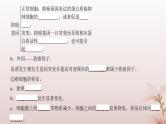 2024届高考生物一轮总复习第七单元生物的变异和进化第19讲基因突变与基因重组课件