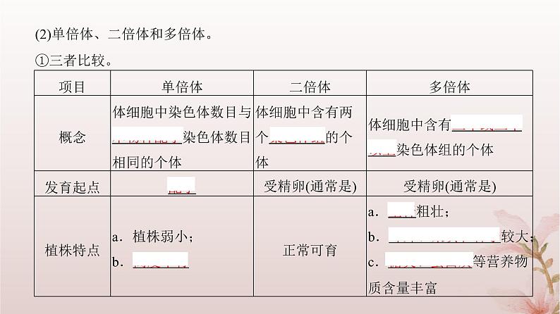 2024届高考生物一轮总复习第七单元生物的变异和进化第20讲染色体变异课件07