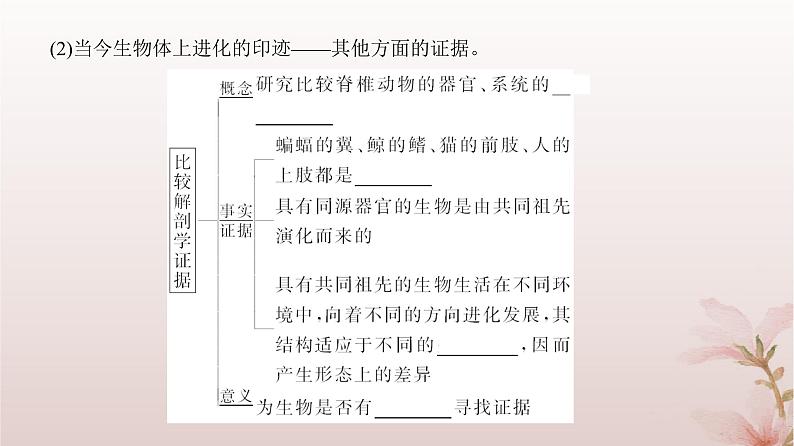 2024届高考生物一轮总复习第七单元生物的变异和进化第21讲生物的进化课件05