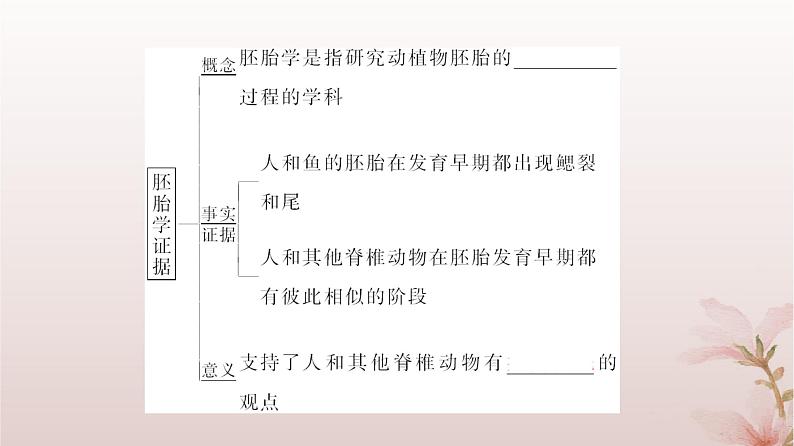 2024届高考生物一轮总复习第七单元生物的变异和进化第21讲生物的进化课件06