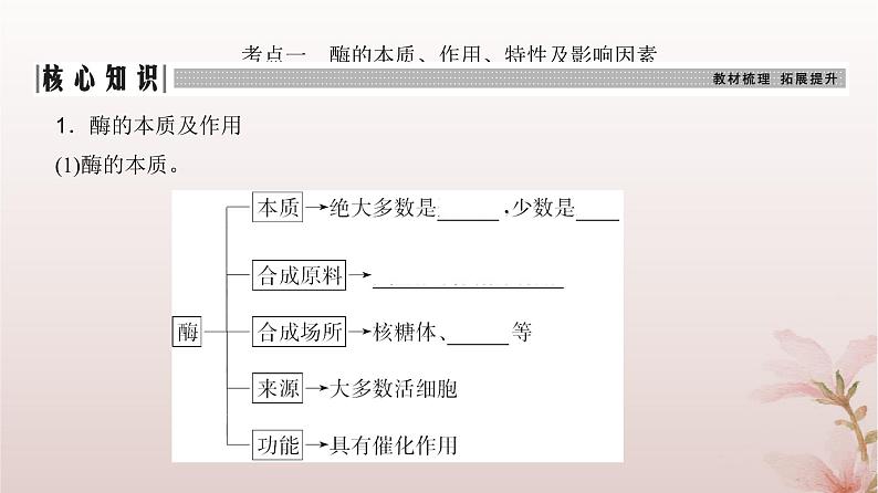 2024届高考生物一轮总复习第三单元细胞的能量供应和利用第7讲酶和能量“货币”ATP课件03