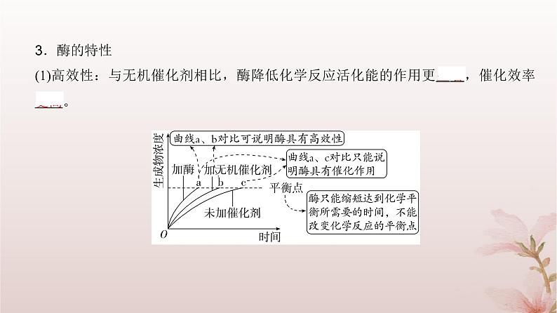 2024届高考生物一轮总复习第三单元细胞的能量供应和利用第7讲酶和能量“货币”ATP课件07