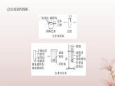 2024届高考生物一轮总复习第三单元细胞的能量供应和利用第9讲光合作用与能量转化课件