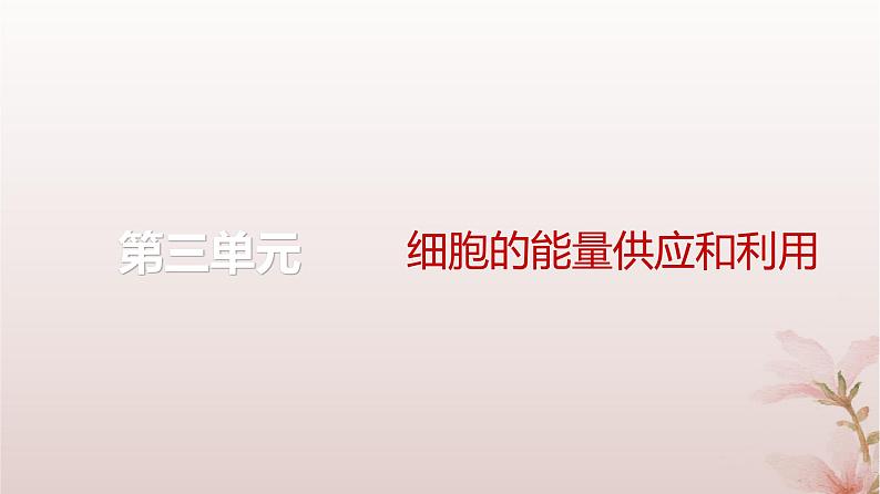 2024届高考生物一轮总复习第三单元细胞的能量供应和利用实验专题1实验设计的原则和变量分析课件01