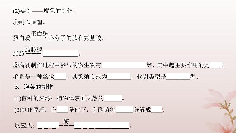 2024届高考生物一轮总复习第十单元生物技术与工程第32讲传统发酵技术与发酵工程的应用课件第5页