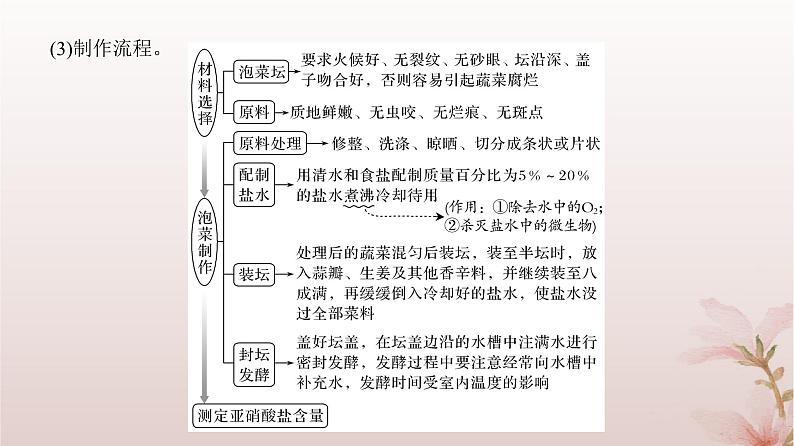 2024届高考生物一轮总复习第十单元生物技术与工程第32讲传统发酵技术与发酵工程的应用课件第6页