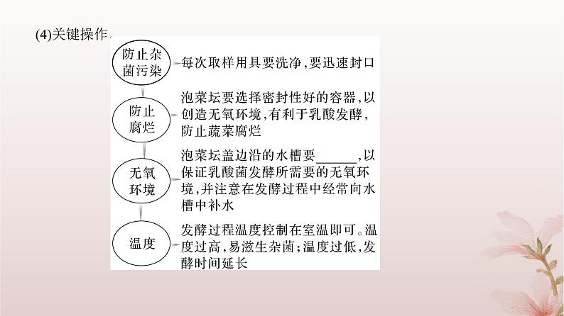 2024届高考生物一轮总复习第十单元生物技术与工程第32讲传统发酵技术与发酵工程的应用课件第7页