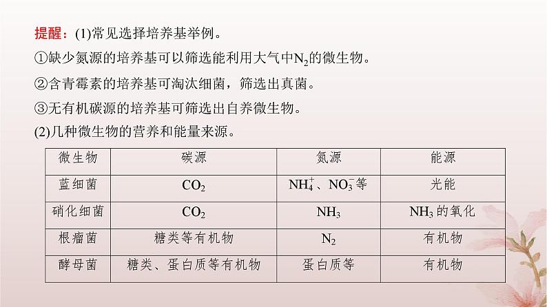 2024届高考生物一轮总复习第十单元生物技术与工程第33讲微生物的培养技术及应用课件08